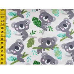 Jerseystoff "Koala/Eukalyptus creme"